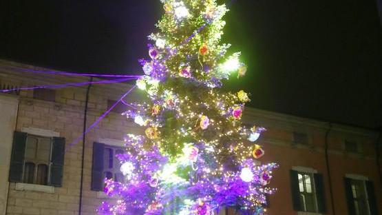 L’albero di Natale raccoglie consensi