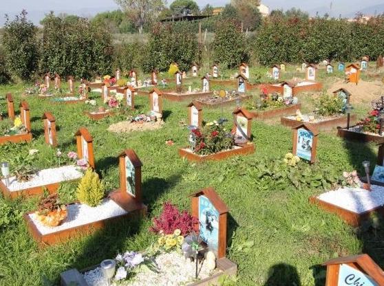 A Vignola un cimitero intercomunale per l’addio a cani e gatti 