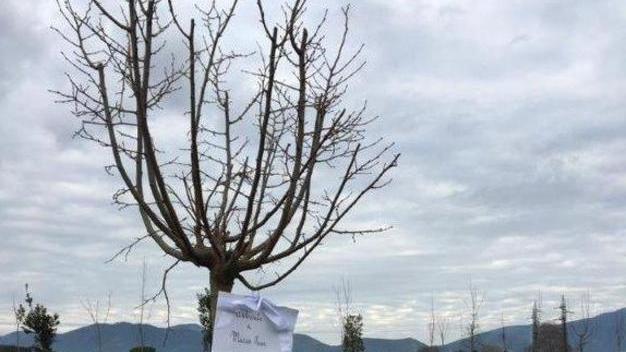 Il giorno dell’addio alla bambina morta