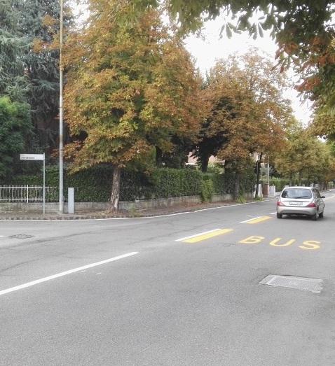 «Senso unico di via Legnago: la giunta parli con i dati»
