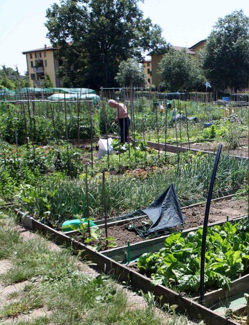 Gli orti si assegnano “in coppia” 