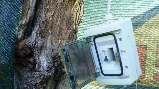 Vandali in azione danneggiato il campo sportivo