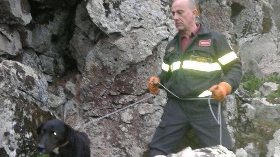 Cane da caccia salvato dai pompieri 