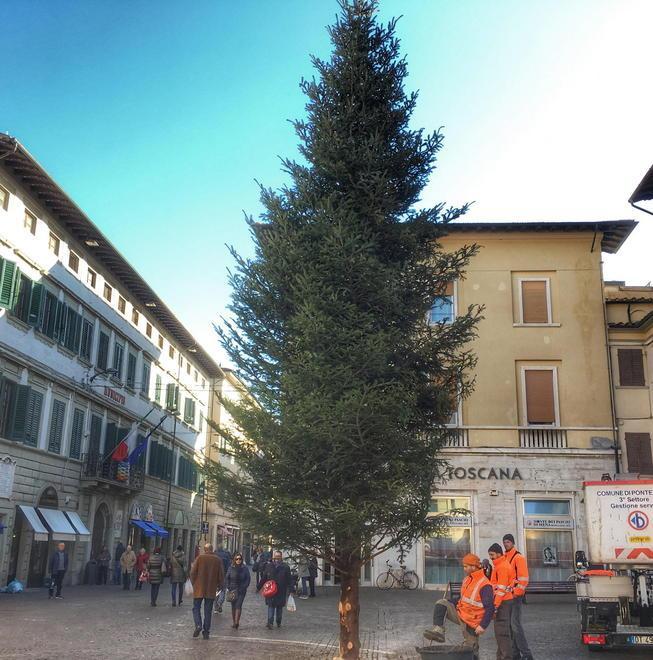 pontedera