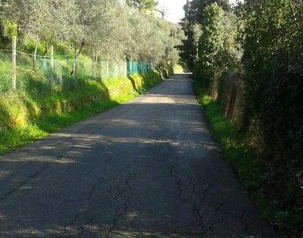 Via libera al nuovo cantiere sulla strada per Sant’Anna 
