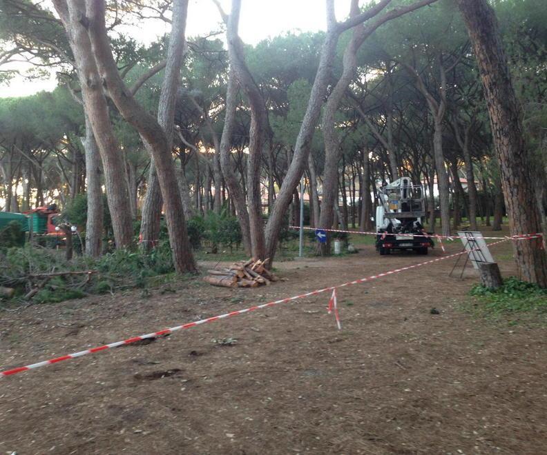 Tennis club, giù sei pini poi il via ai cantieri 