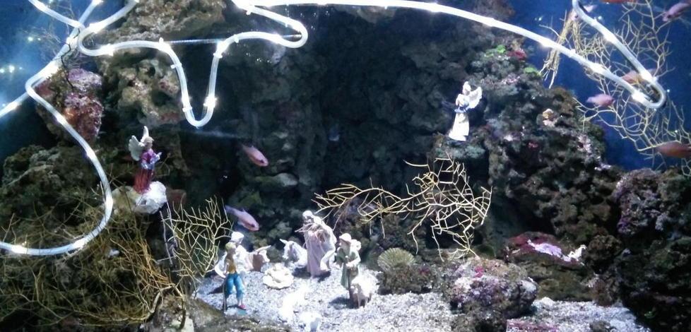 Nella vasca s’illumina il presepe subacqueo