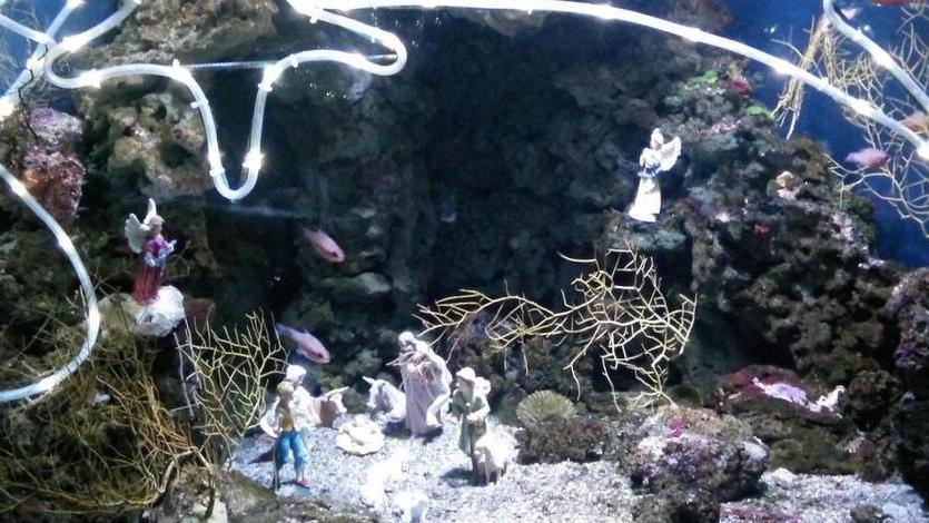 Nella vasca s’illumina il presepe subacqueo