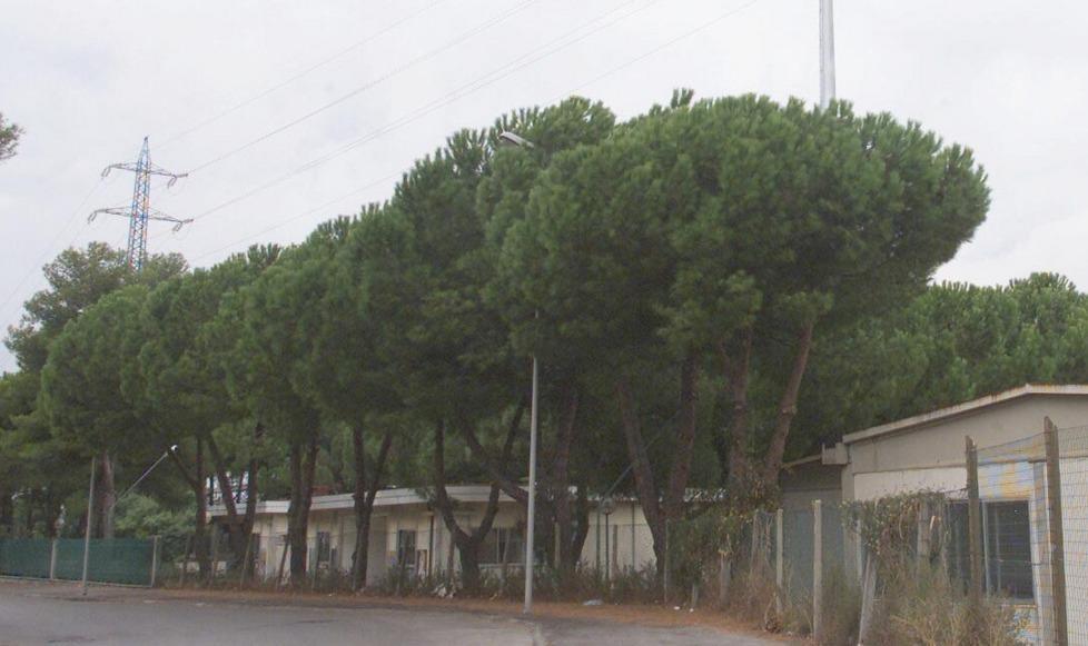 «Più soldi per le manutenzioni» 