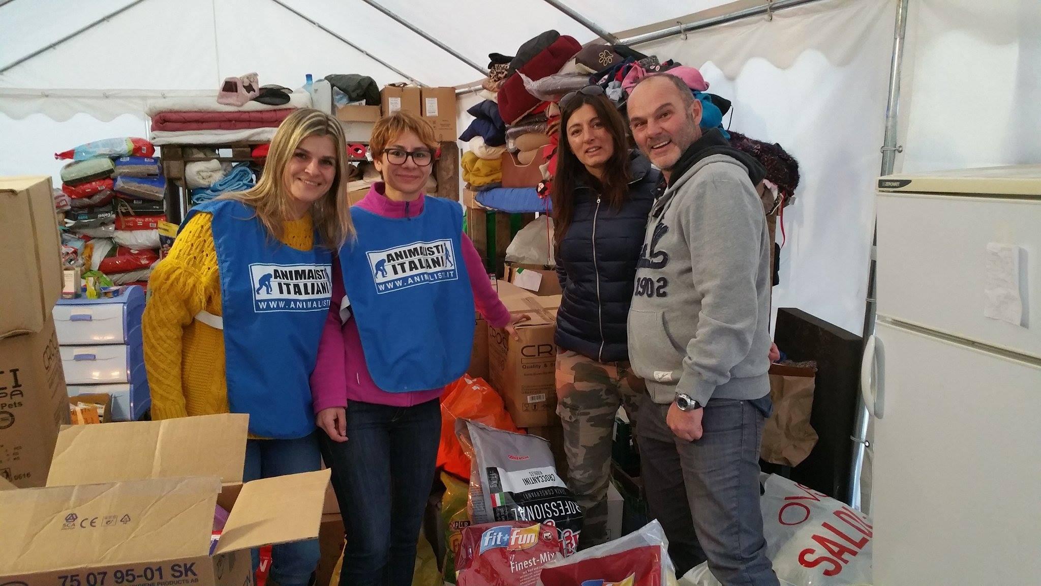Da Reggio ad Amatrice per salvare due gattini 