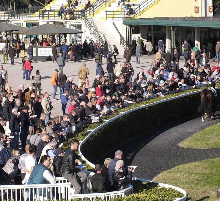 Oggi a San Rossore ottanta cavalli al nastro di partenza 