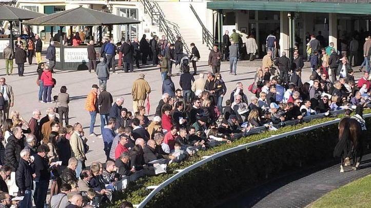 Oggi a San Rossore ottanta cavalli al nastro di partenza