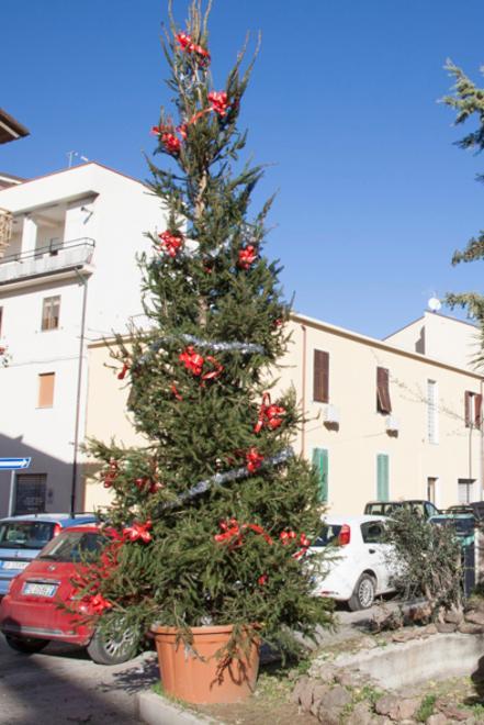 Un albero di Natale per ogni quartiere 
