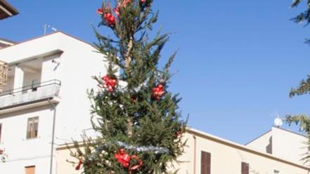 Un albero di Natale per ogni quartiere 