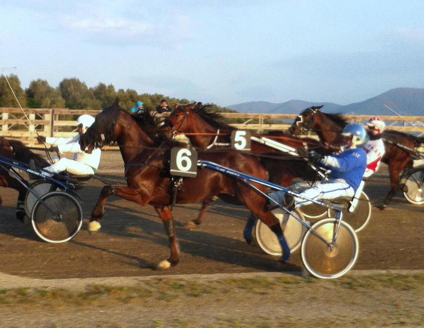 Professionisti in pista nel premio Curi 