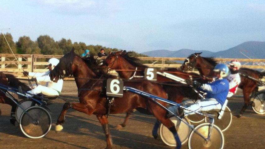 Professionisti in pista nel premio Curi