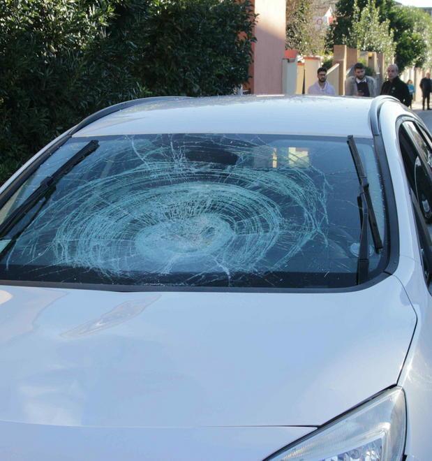 Investe una donna e uccide il suo cane 
