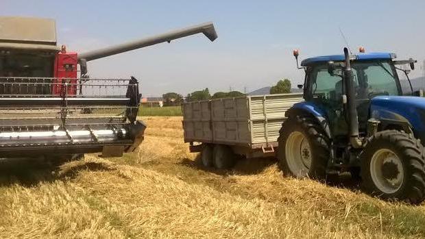L’agricoltura rinasce col ritorno dei giovani