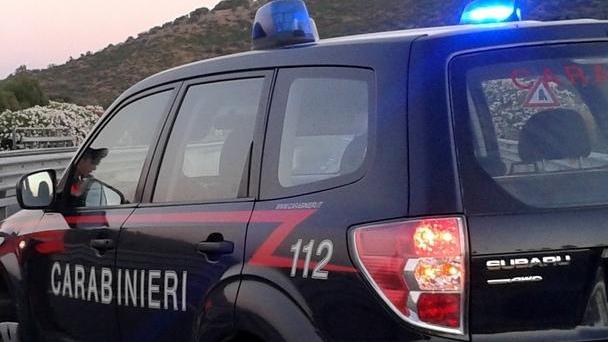 Posada, pescheto abbattuto a colpi di ascia a Padronos