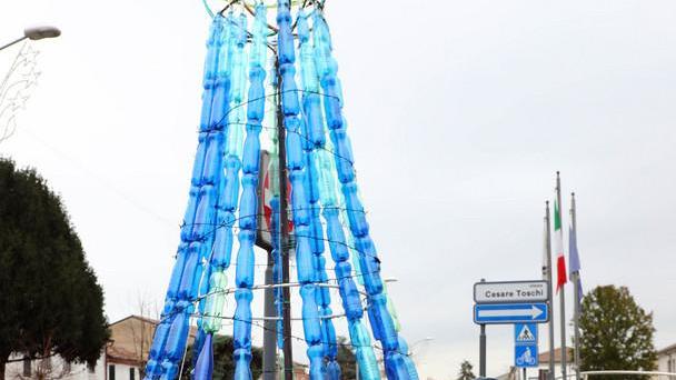 «Quell’albero ha valore simbolico»