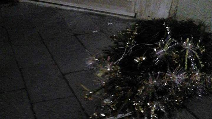 Uno degli abeti rovinati (foto da Facebook)