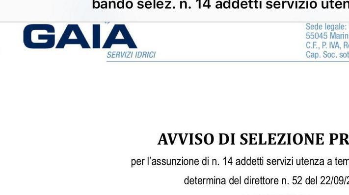 «I 14 assunti da Gaia non avranno posto fisso Il bando è irregolare»