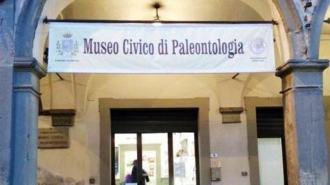 Quattromila i visitatori al museo Paleontologico