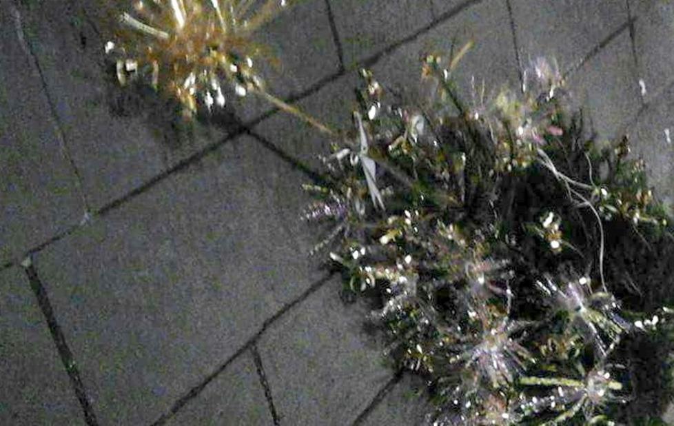 Vandali in azione a Camaiore distruggono gli alberi di Natale