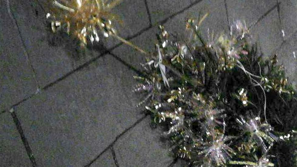 Vandali in azione a Camaiore distruggono gli alberi di Natale