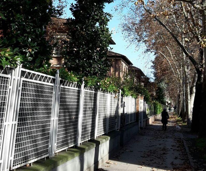 Verde abbandonato in via Cucchiari