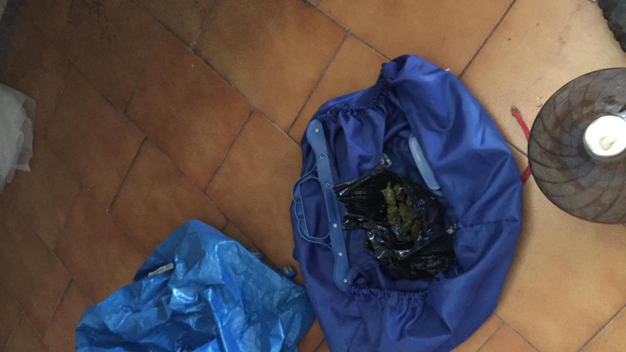La confezione di marijuana trovata nel sottoscala di un condominio a Cisanello