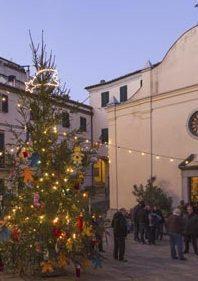 Natale a San Piero, un albero e non due Scoppia la protesta 