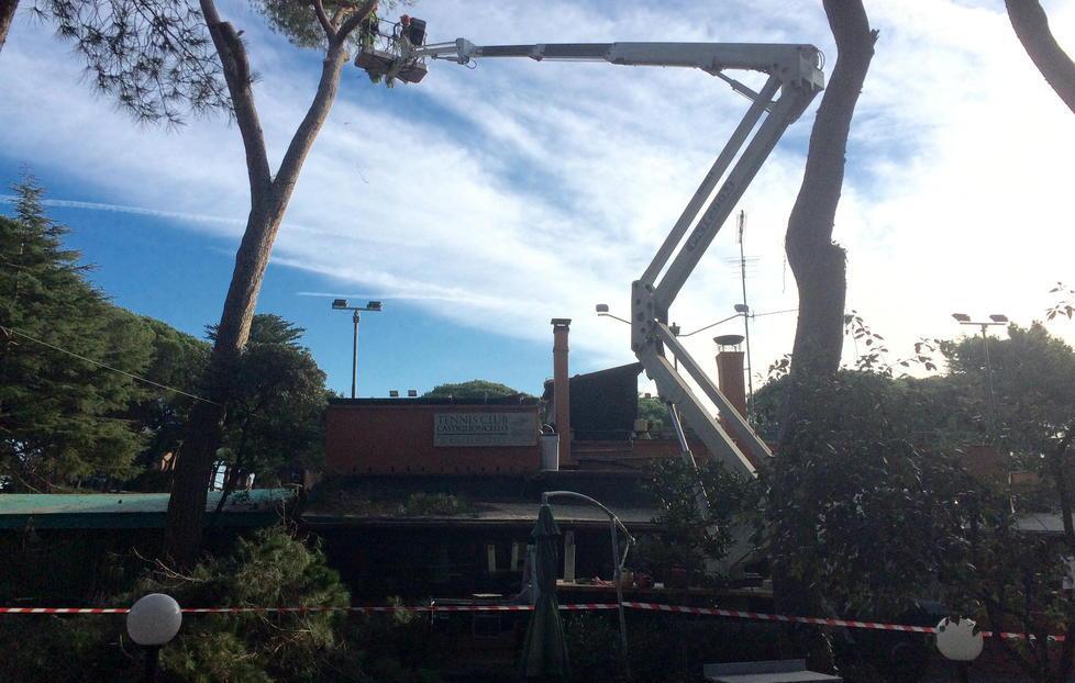 Giù 44 alberi, il nuovo volto di pineta Marradi 