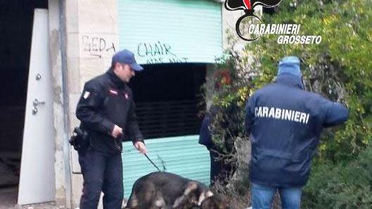 I carabinieri con l'unità cinofila