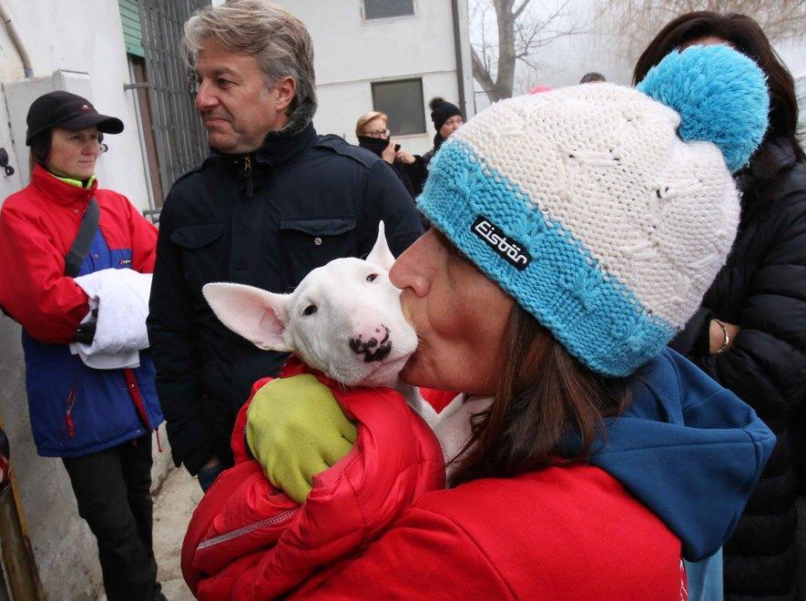Lieto fine per 120 cuccioli di cane 