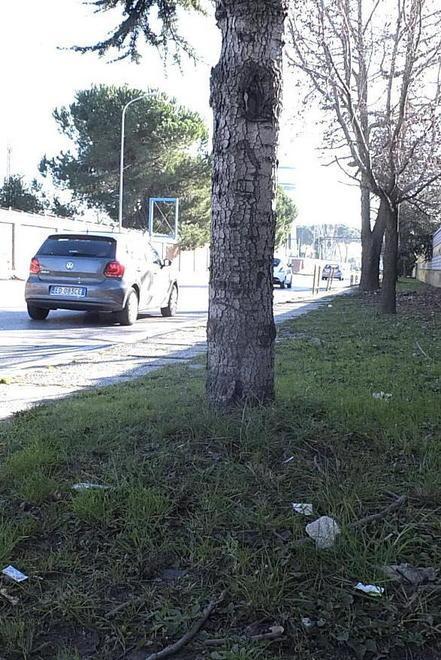 Ikea, la pista ciclabile bloccata da due anni per la burocrazia 
