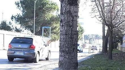 Ikea, la pista ciclabile bloccata da due anni per la burocrazia
