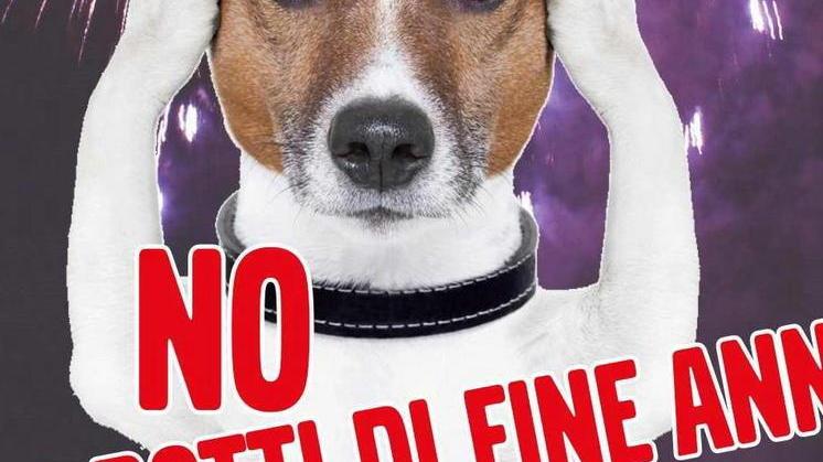 Petardo sfiora passante a Massa, caccia a gang di ragazzini