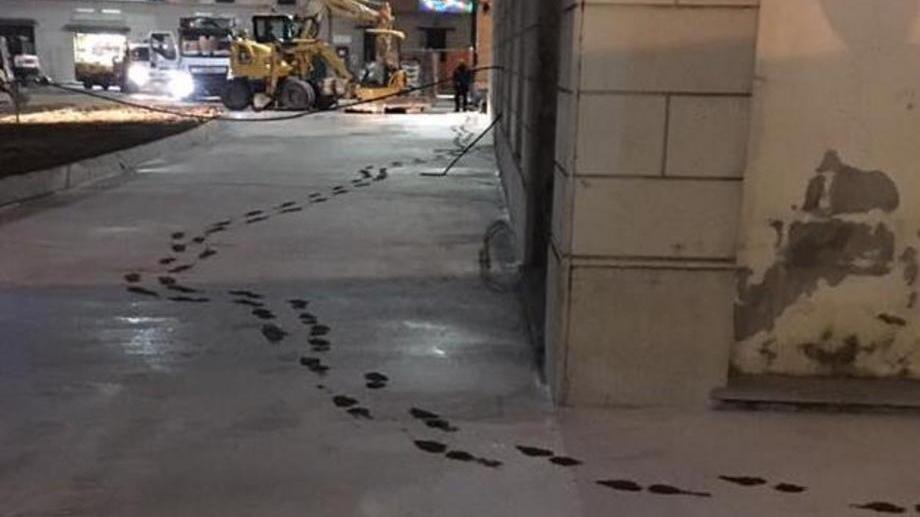 Scia d’impronte sul cemento fresco