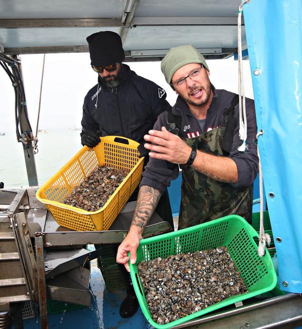 Allerta europea su una partita di vongole
