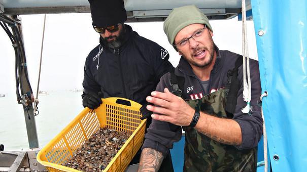 Allerta europea su una partita di vongole