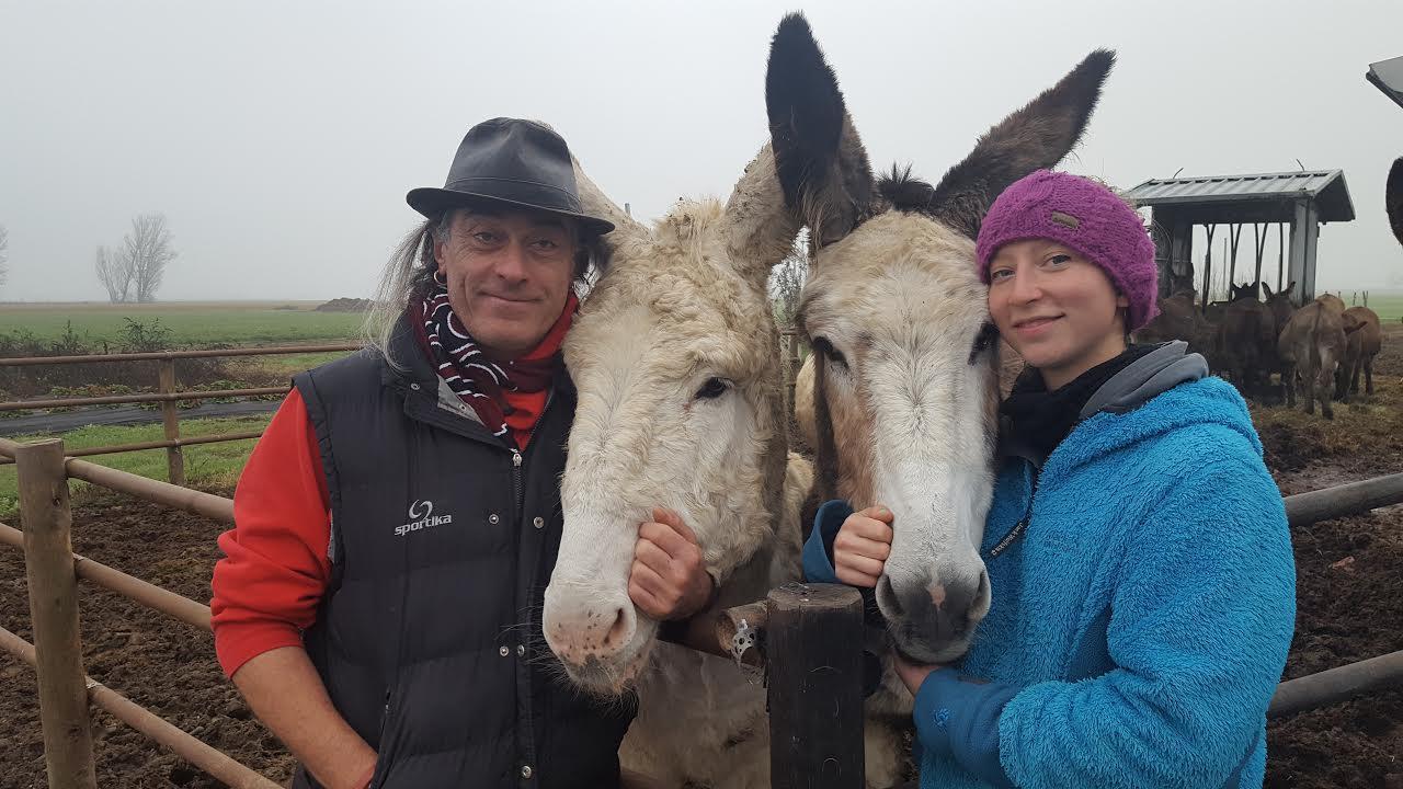 Romina, Gisella, Olga e gli altri ecco gli asini tanto amati in città 