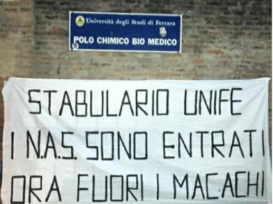 «Un tavolo per gli esperimenti su animali» 