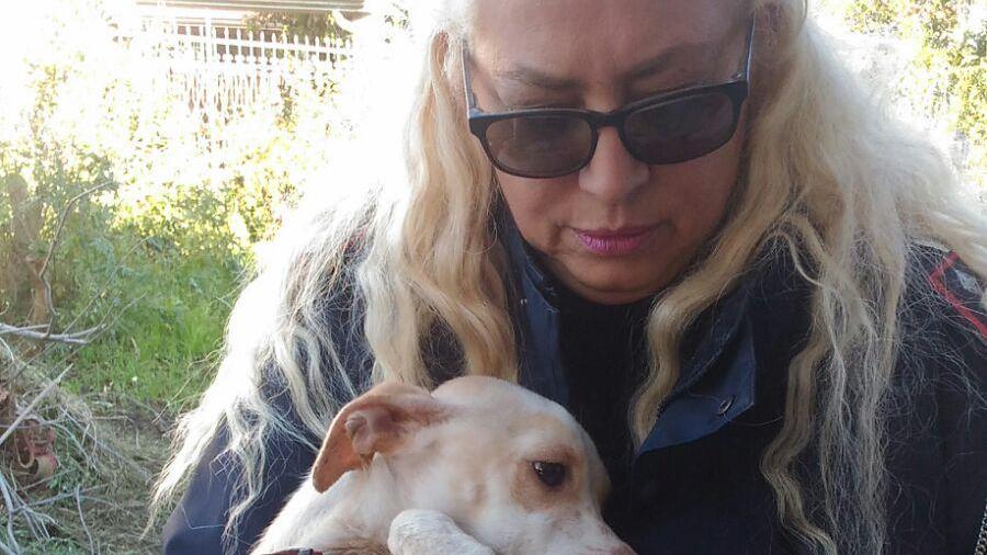 Una delle cagnoline con la volontaria della Lega del cane