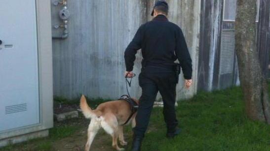 Hashish nel bagno del Fermi Controlli a scuola con i cani