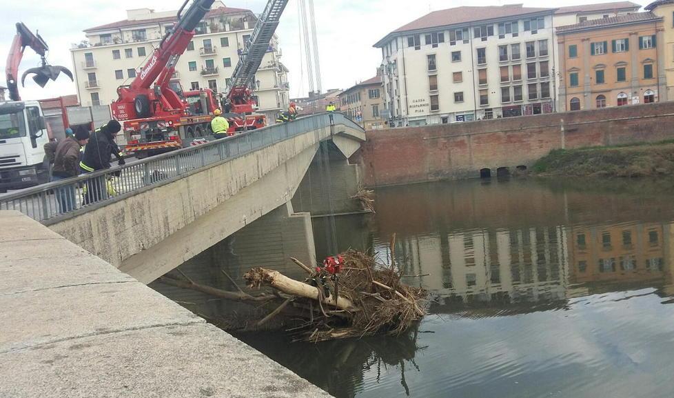 Rimossi i tronchi sotto il ponte