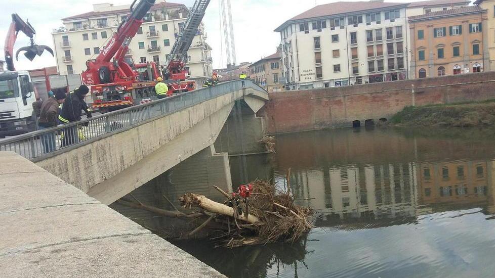 Rimossi i tronchi sotto il ponte