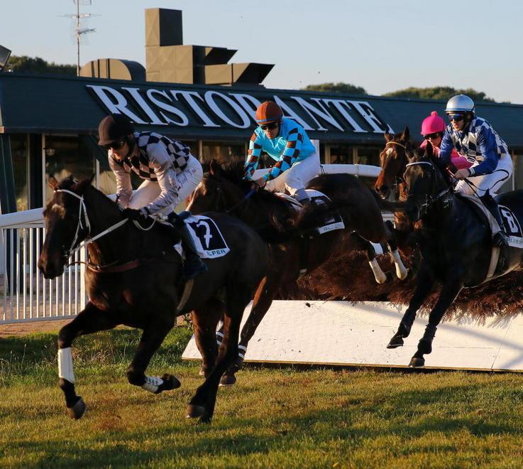 Siepi, Queen Winkle vince il Gran premio Belingieri 