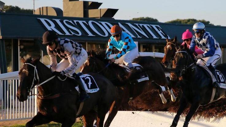 Siepi, Queen Winkle vince il Gran premio Belingieri
