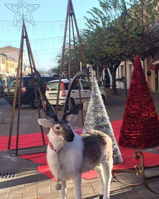 Storie di vita e divertimento con la solidarietà per Telethon